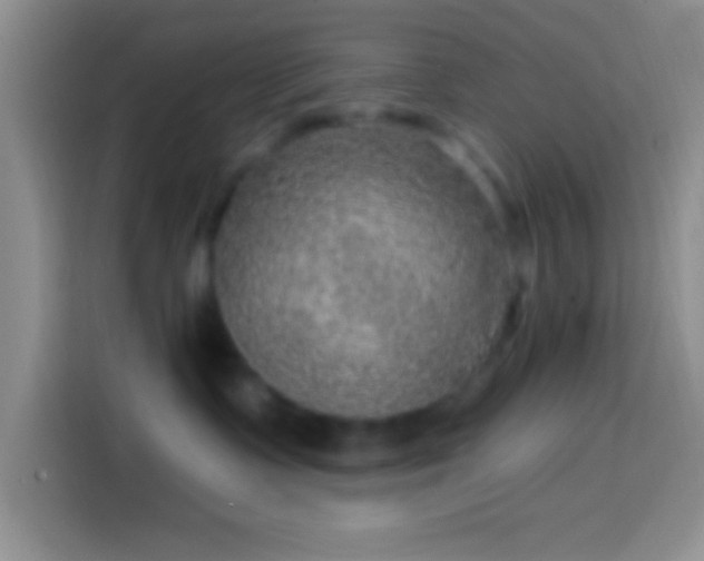 X0000113860335200910011026
