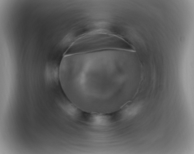 X0000113860336200910011026