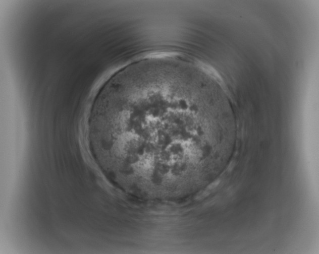 X0000113860337200910011025