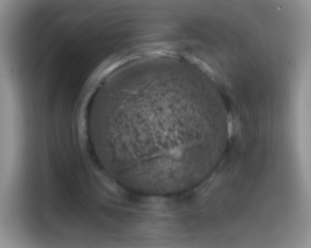 X0000113860339200910011026