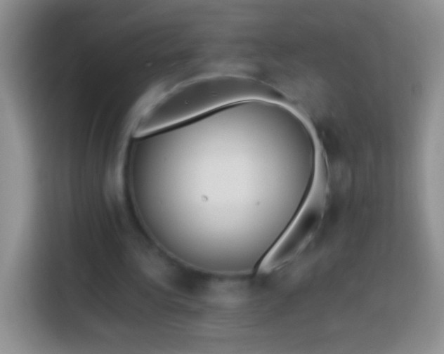 X0000113860340200910011026