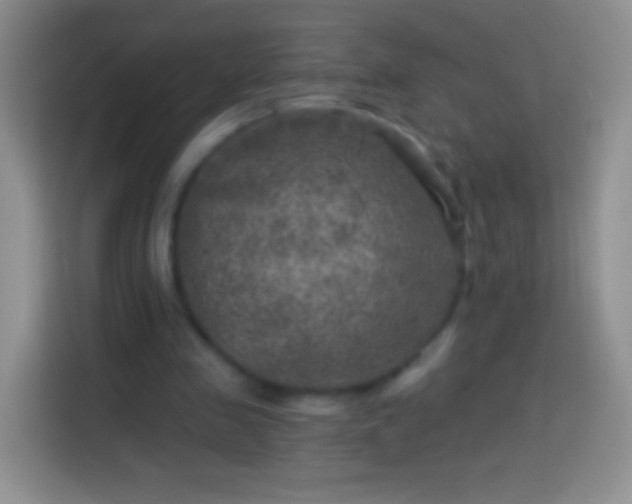 X0000113860341200910011026