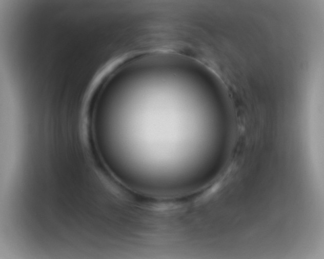 X0000113860342200910011026