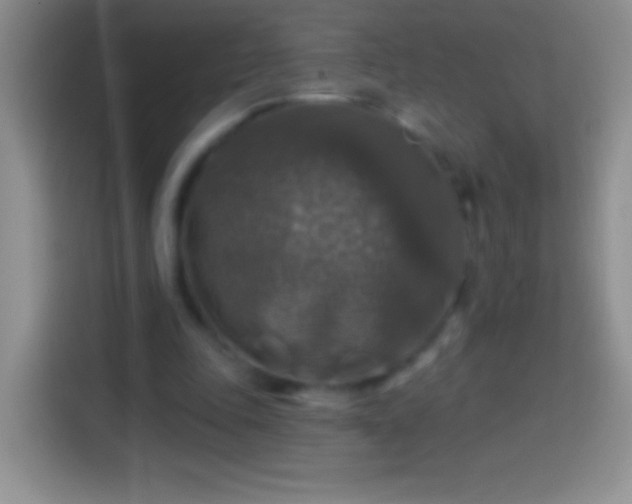 X0000113860343200910011026