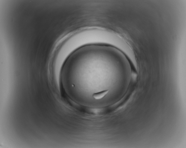 X0000113860344200910011026