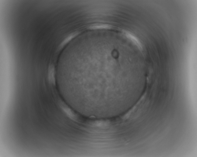X0000113860345200910011026