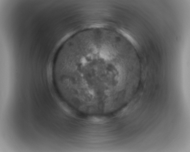 X0000113860346200910011026