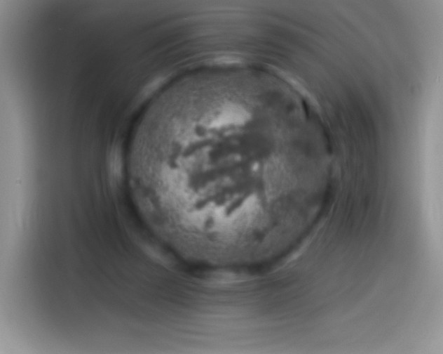 X0000113860347200910011026