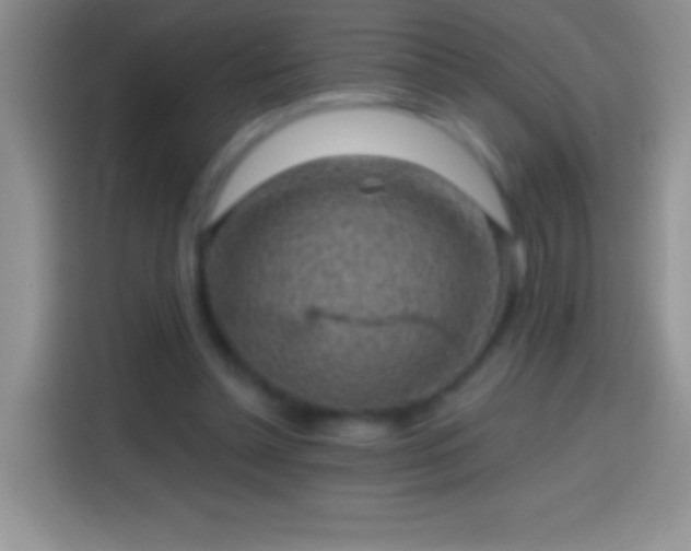 X0000113860348200910011026
