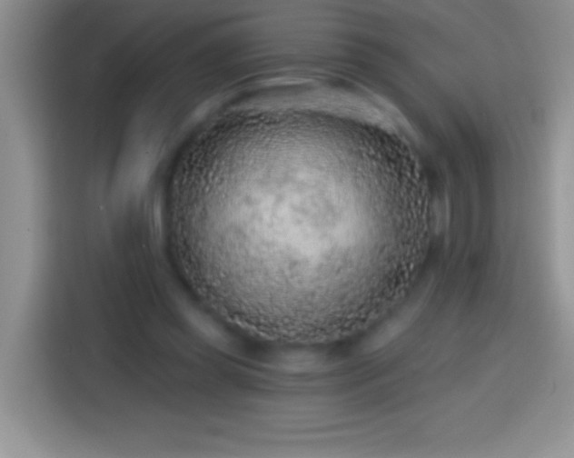 X0000113860349200910011026