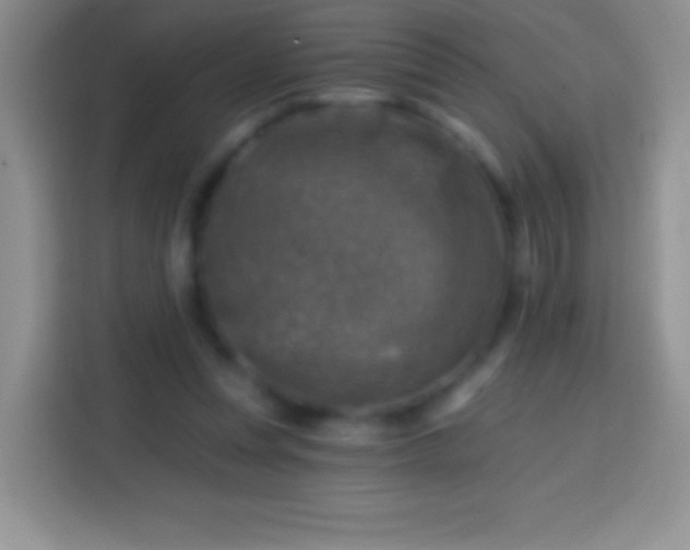 X0000113860351200910011026