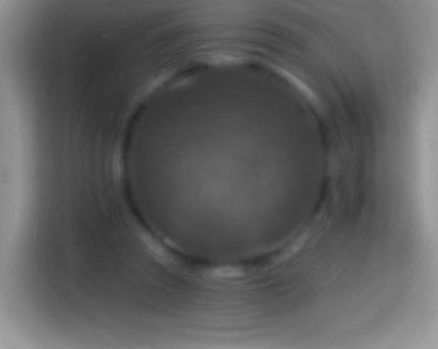 X0000113860353200910011026