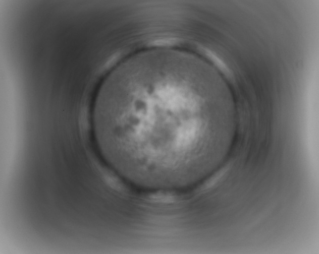 X0000113860354200910011026