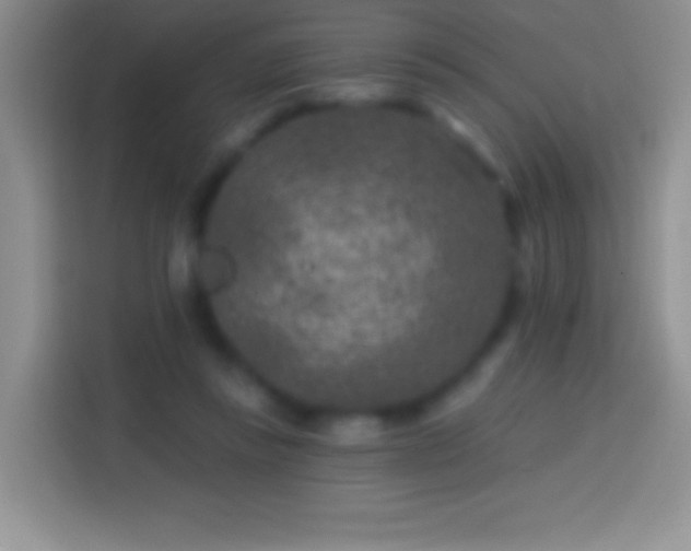 X0000113860355200910011026