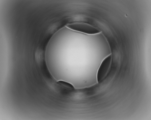 X0000113860356200910011026