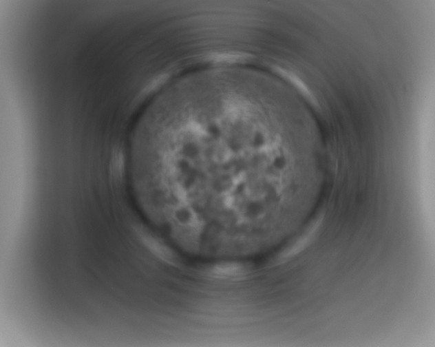 X0000113860357200910011026