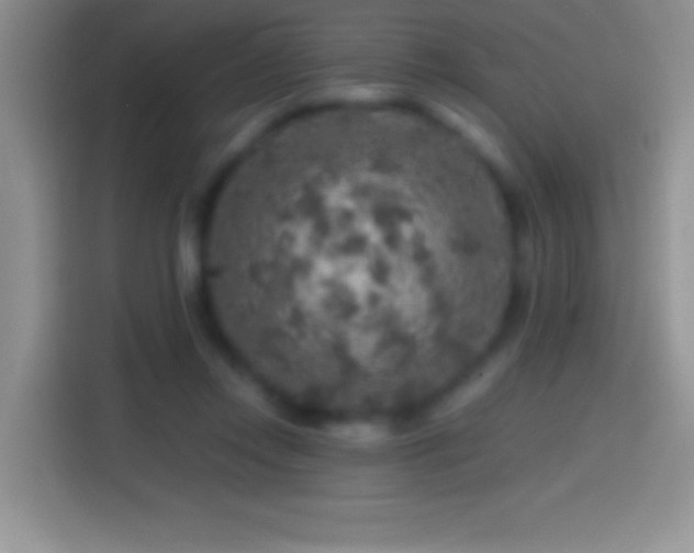 X0000113860358200910011026
