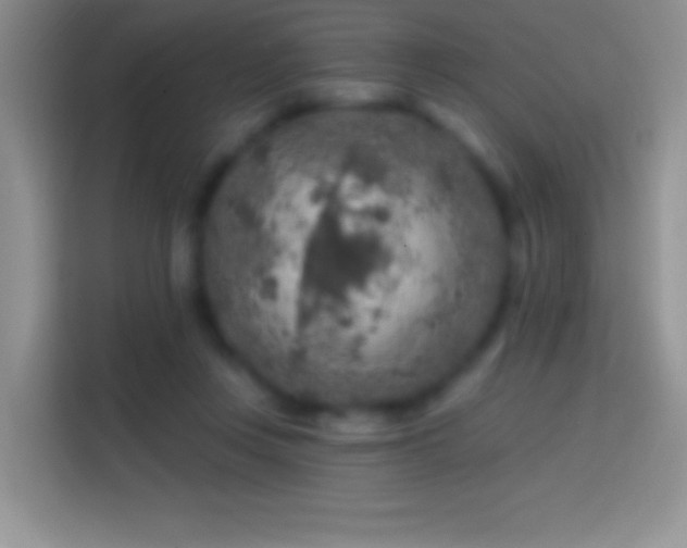 X0000113860359200910011026