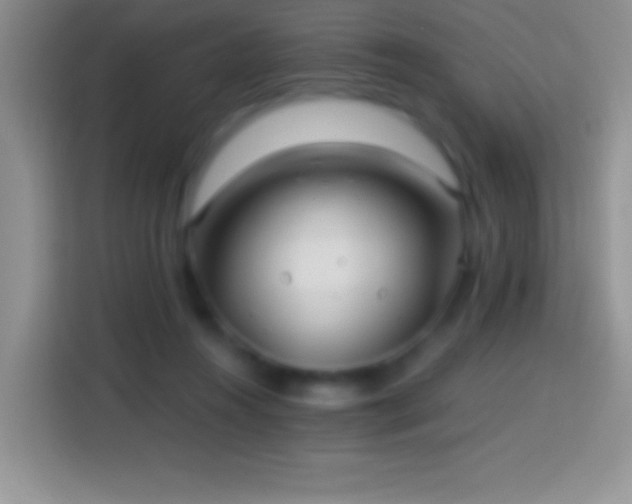 X0000113860360200910011026