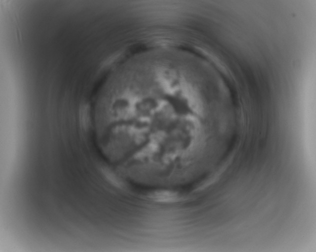 X0000113860361200910011026