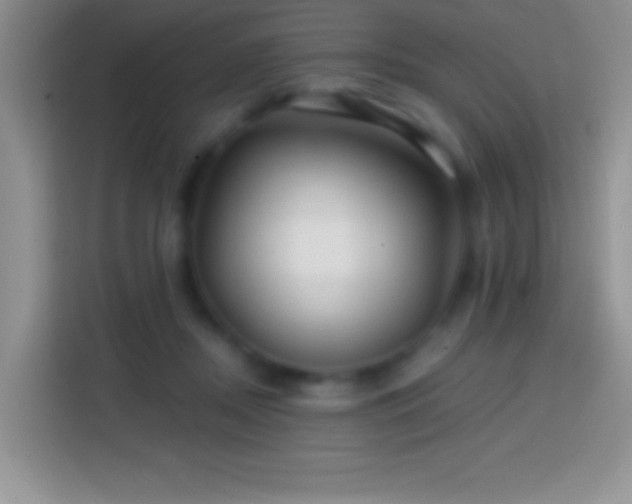 X0000113860362200910011026