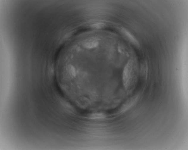 X0000113860363200910011026