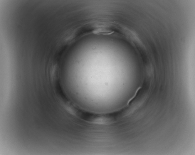 X0000113860364200910011026