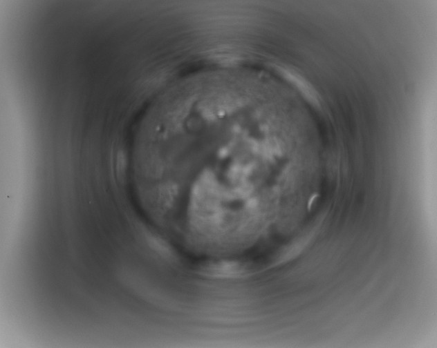 X0000113860365200910011026