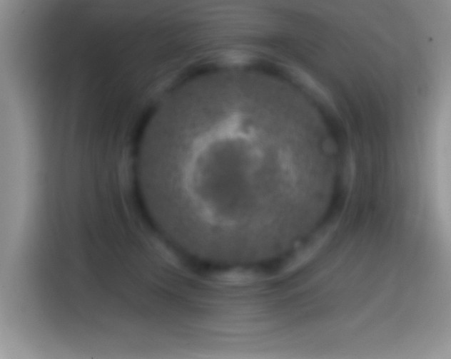 X0000113860366200910011026