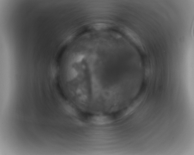 X0000113860367200910011026