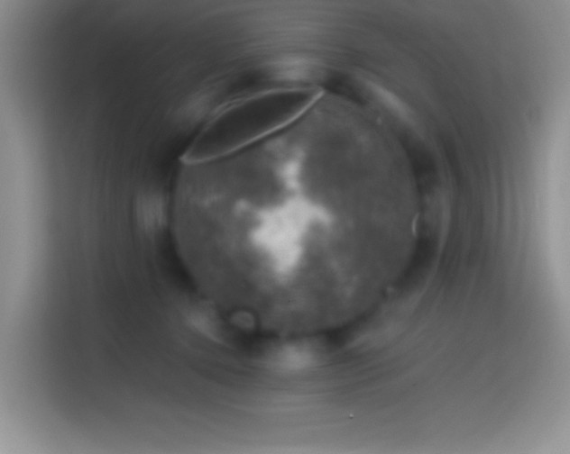 X0000113860368200910011026