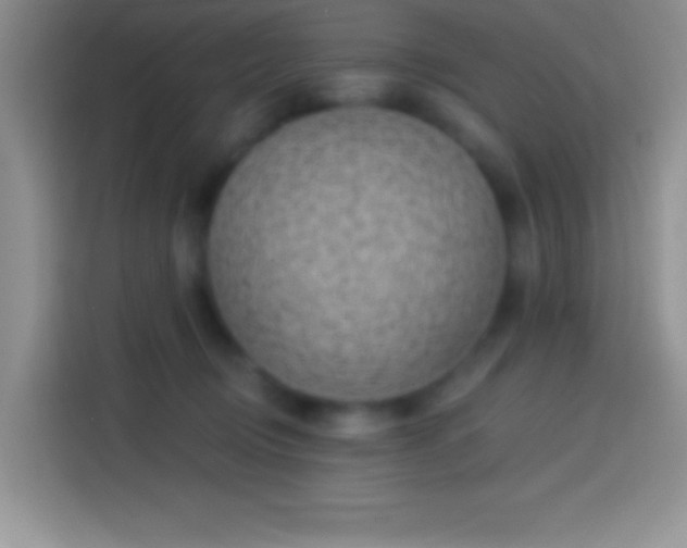 X0000113860370200910011026