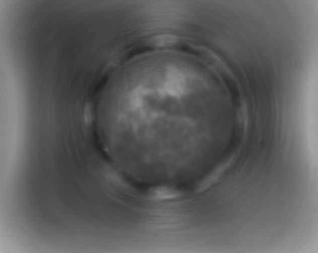 X0000113860372200910011026
