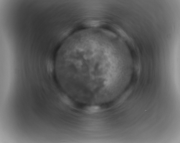 X0000113860374200910011026