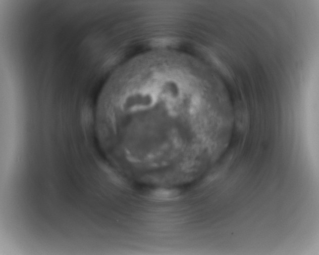 X0000113860375200910011026
