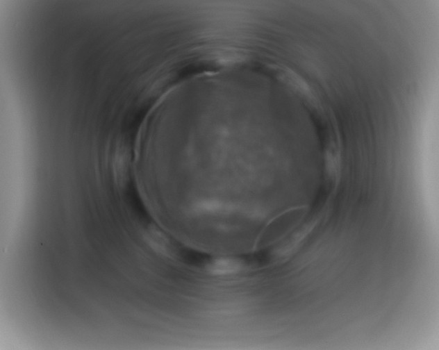 X0000113860376200910011026