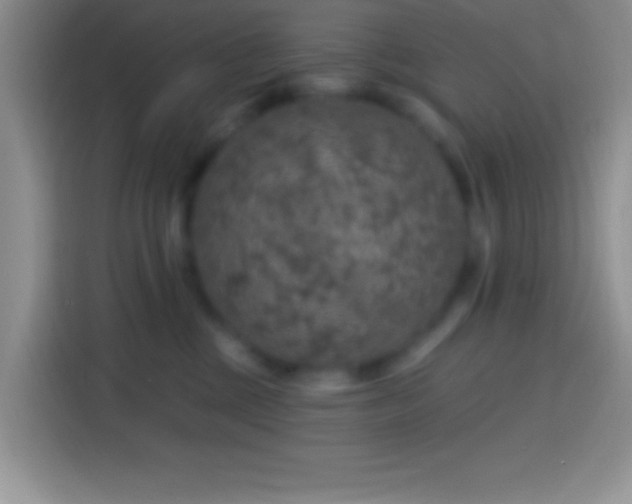 X0000113860377200910011026