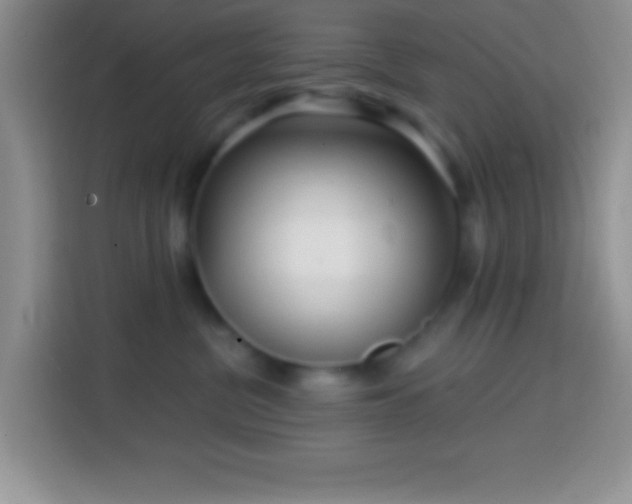 X0000113860380200910011026
