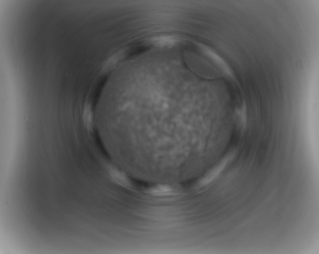 X0000113860381200910011026