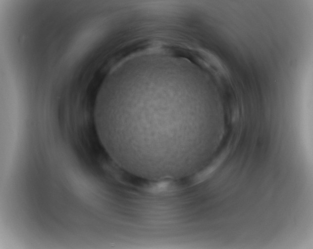 X0000113860382200910011026