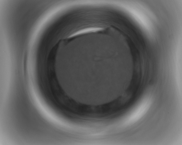 X0000113860383200910011026