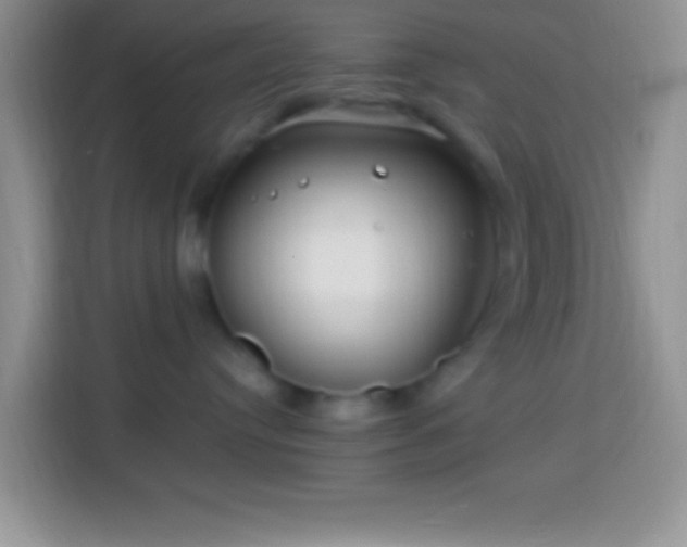 X0000113860384200910011026