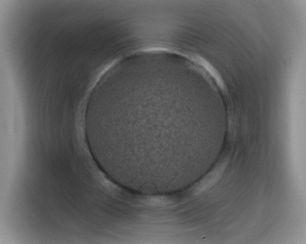 X0000113860385200910011025