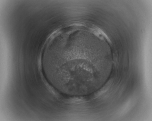 X0000113860386200910011025