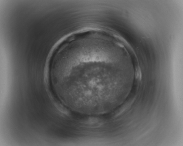X0000113860388200910011025