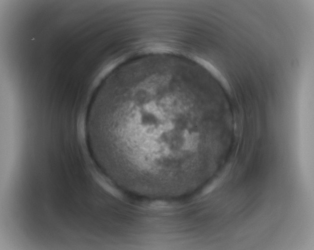 X0000113860390200910011025