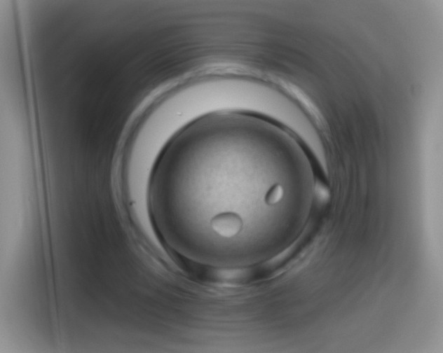 X0000113860391200910011025