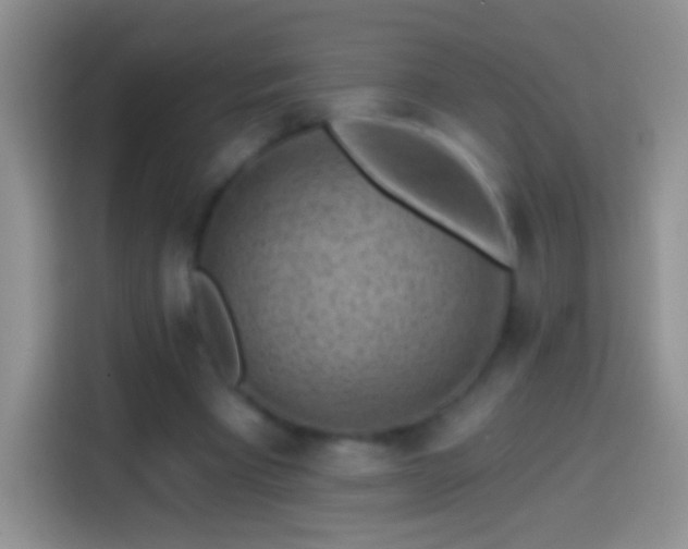 X0000113860393200910011025