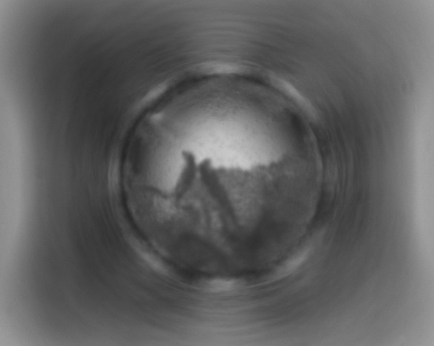 X0000113860394200910011025