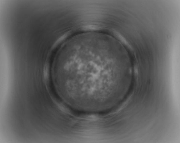 X0000113860396200910011025